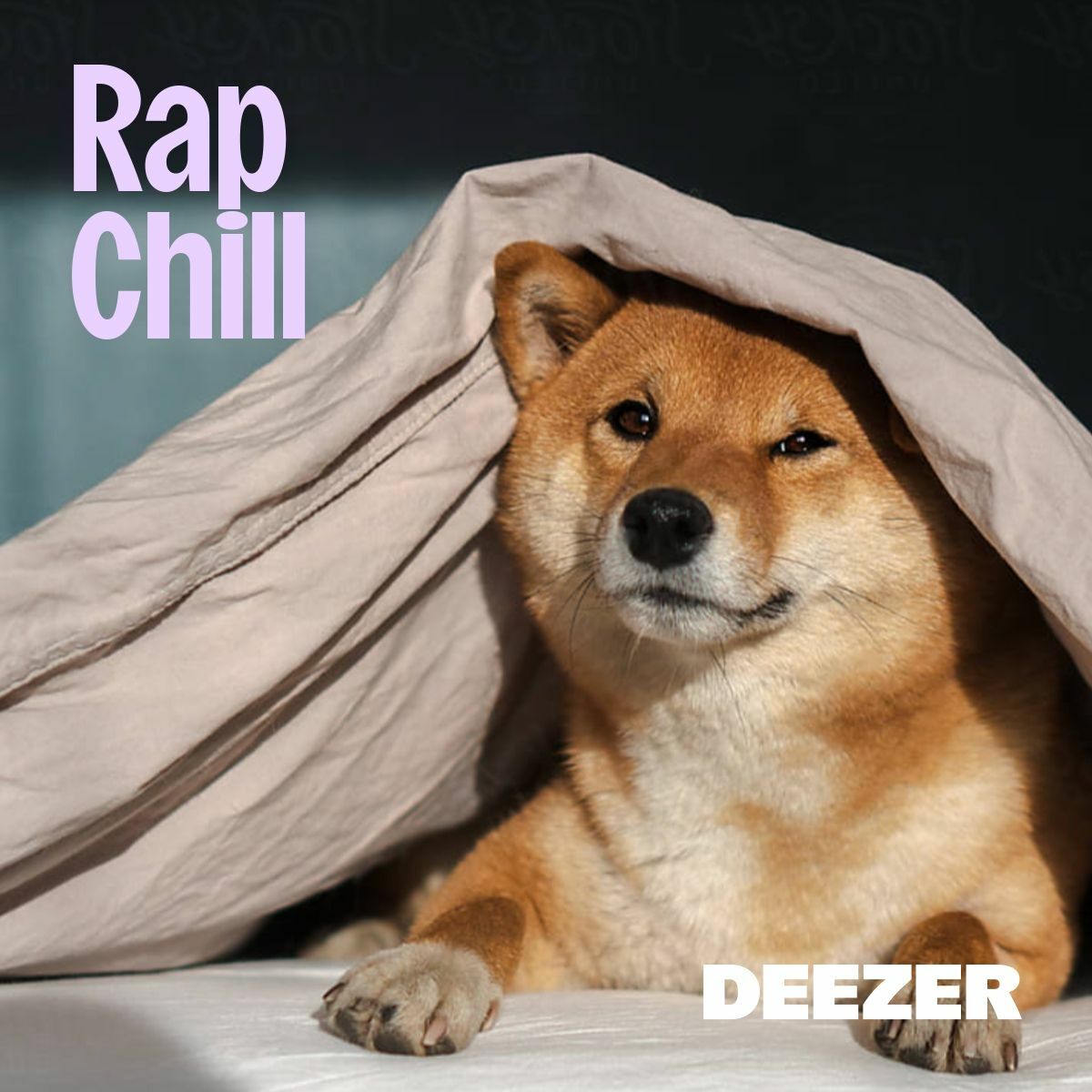 Cover of playlist Rap Chill