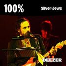 100% Silver Jews