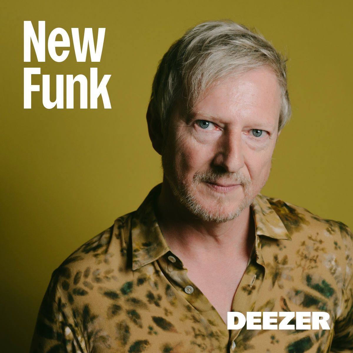 Cover of playlist New Funk