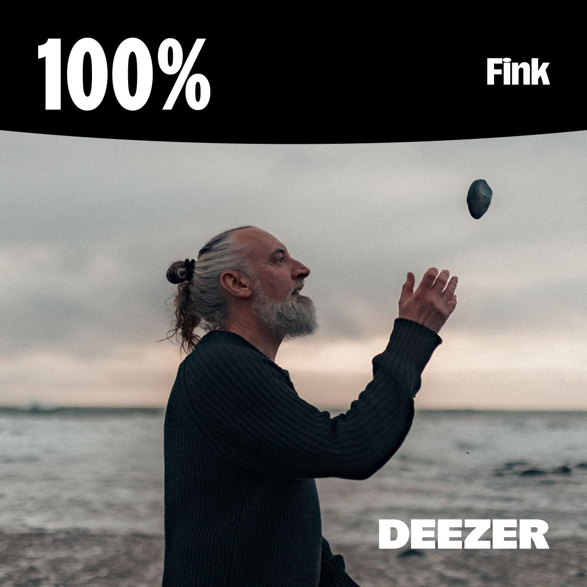 Cover of playlist 100% Fink