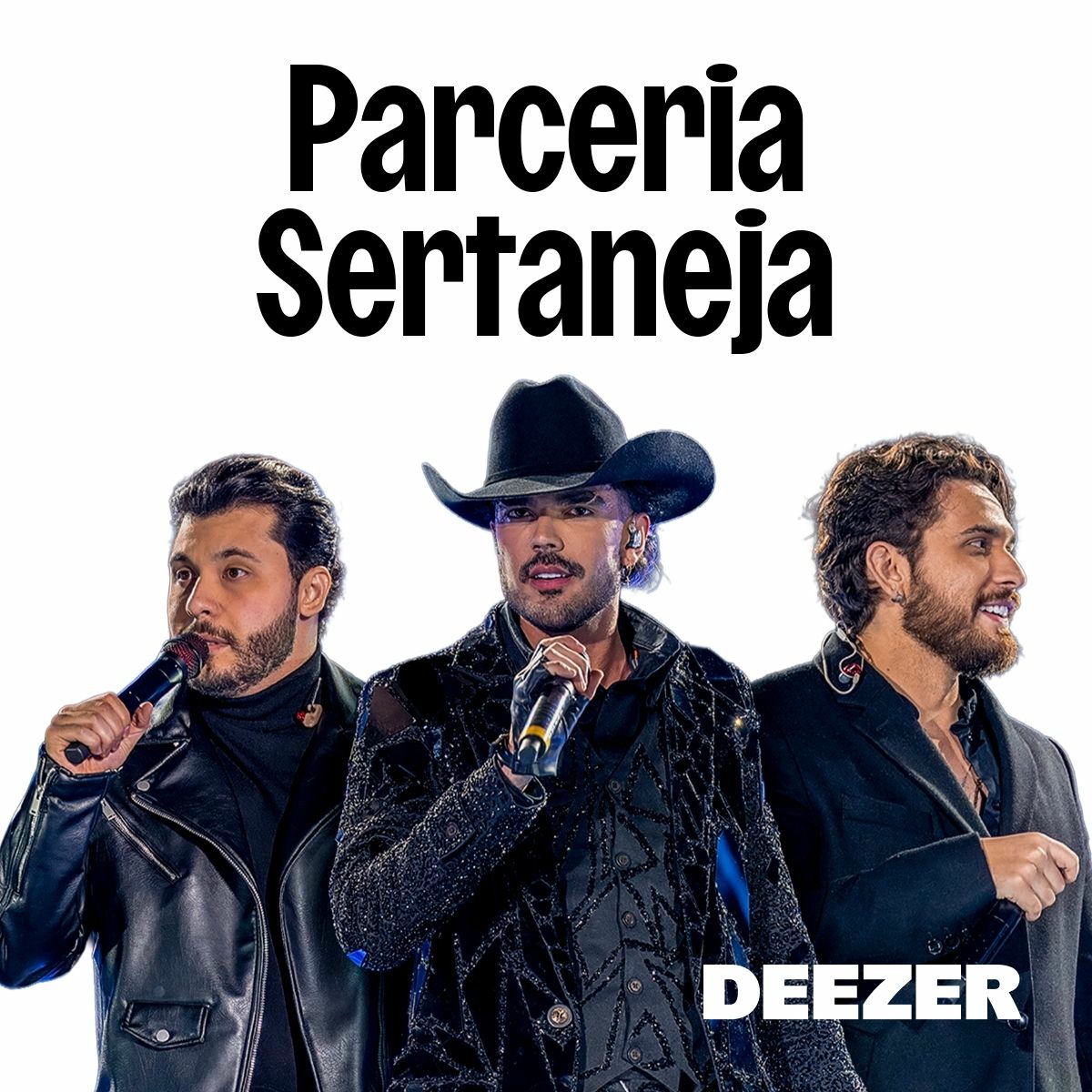 Cover of playlist Parceria Sertaneja