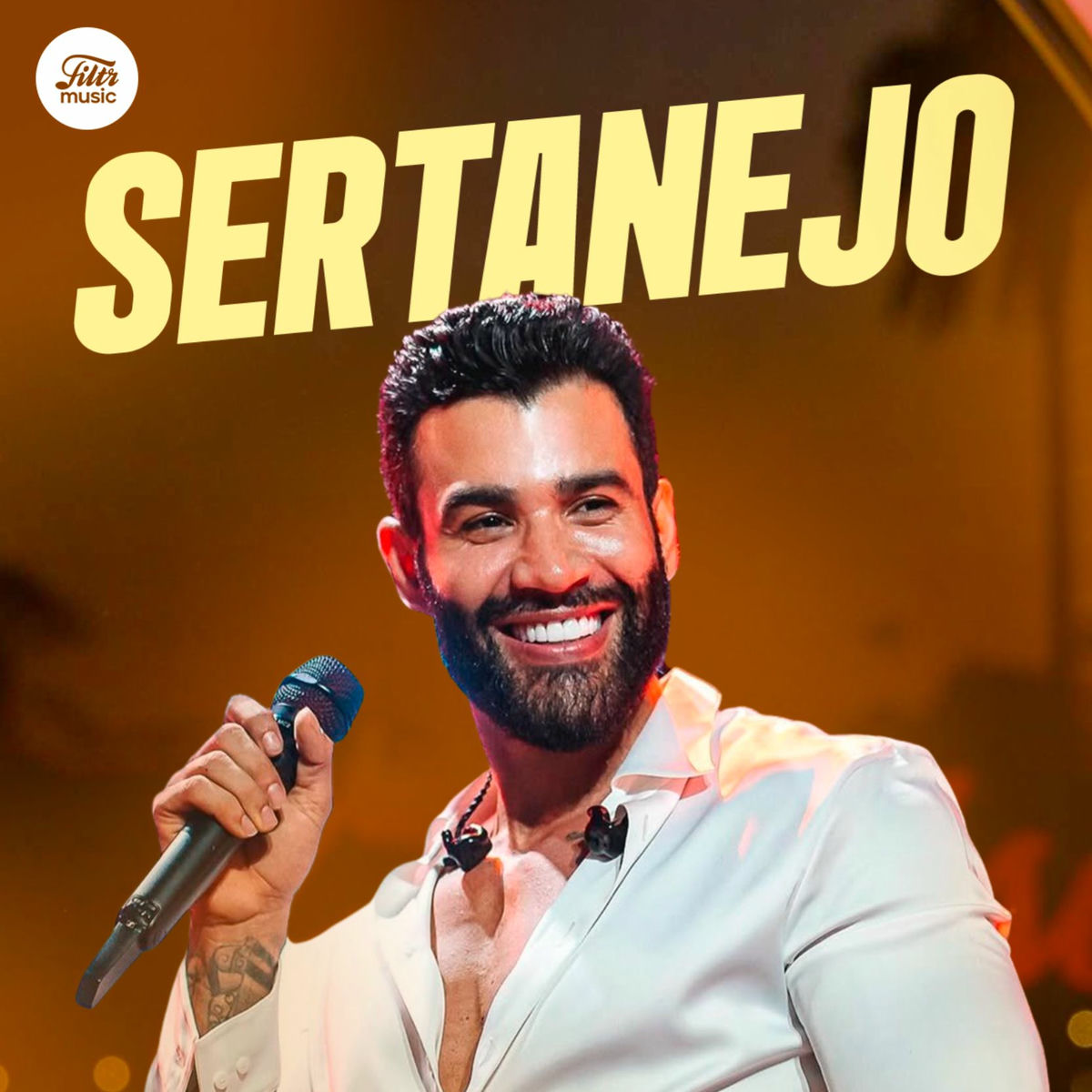 Cover of playlist Top Sertanejo 2025 ⭐ Hits Sertanejos!
