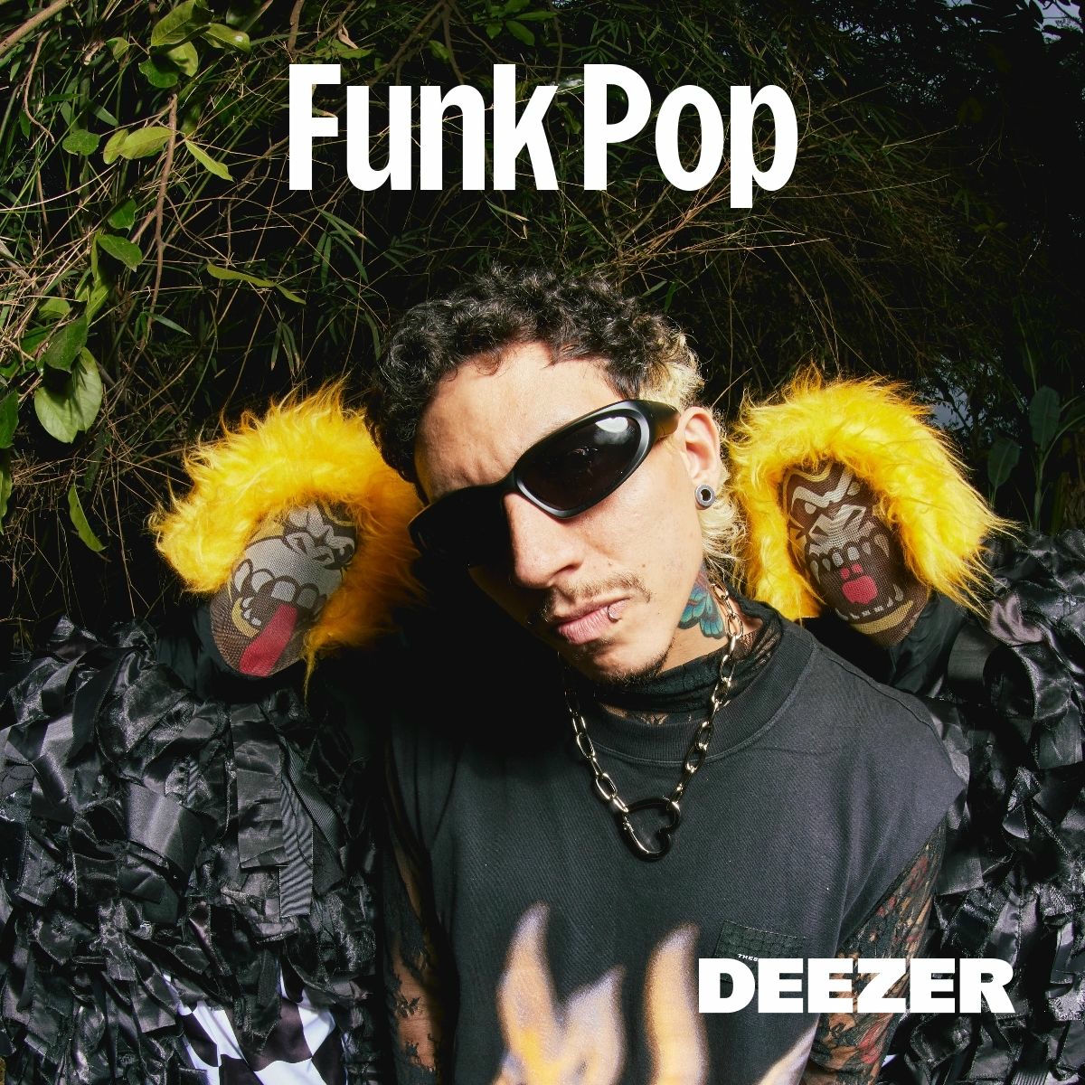 Cover of playlist Funk Pop