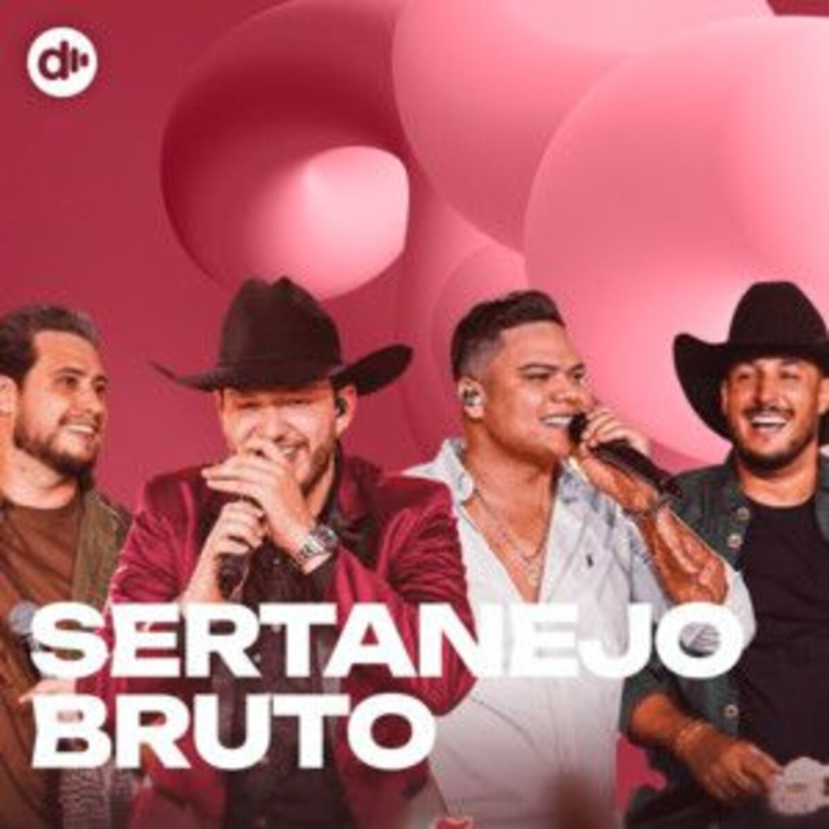 Cover of playlist Sertanejo Bruto 🔥