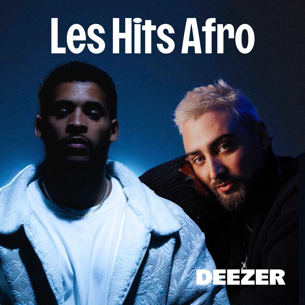 Cover of playlist Les Hits Afro