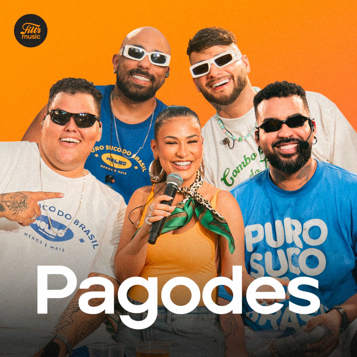 Cover of playlist Pagodes 2025 - Lançamentos e Mais Tocados