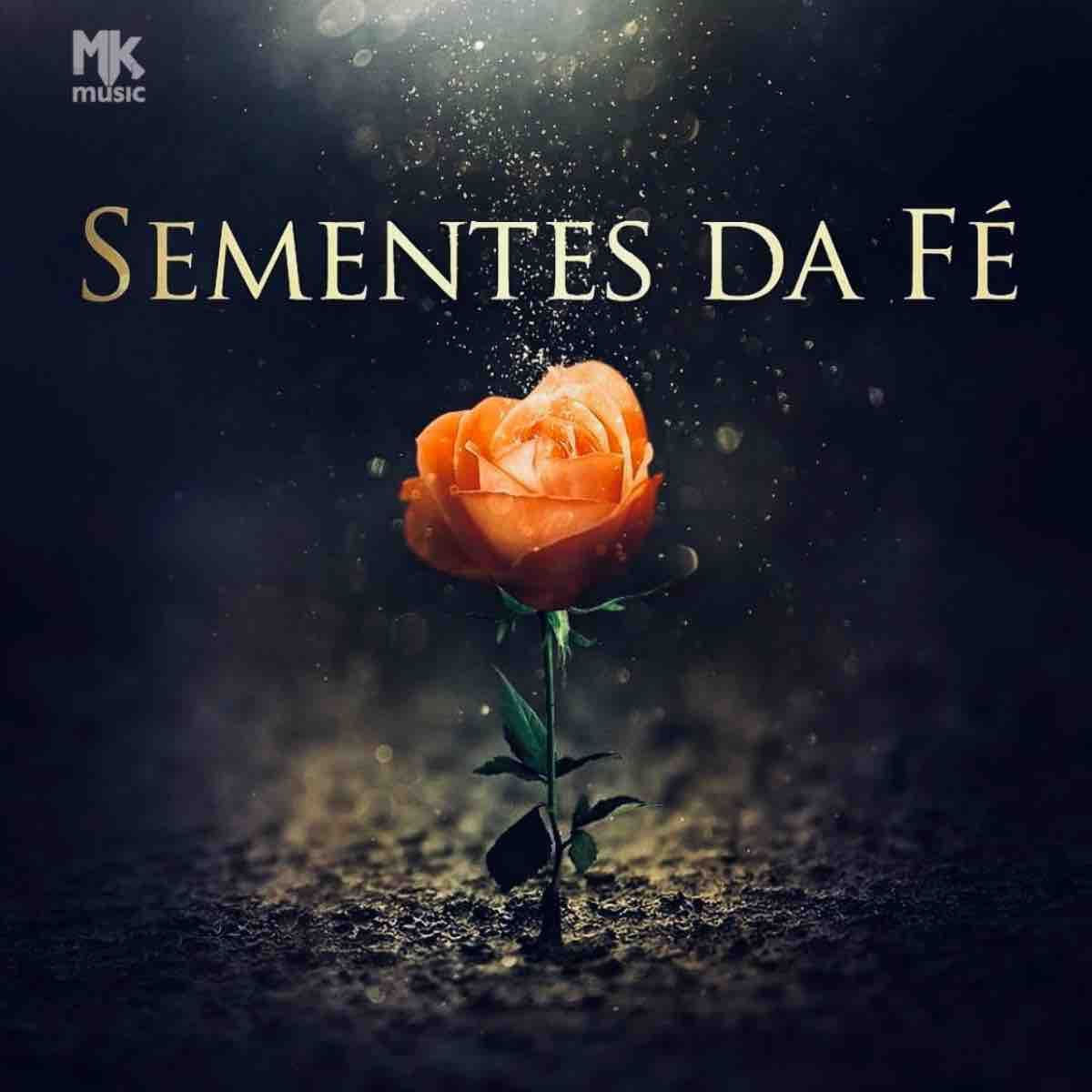 Cover of playlist Sementes da Fé | Reflexões | Mensagem | Música