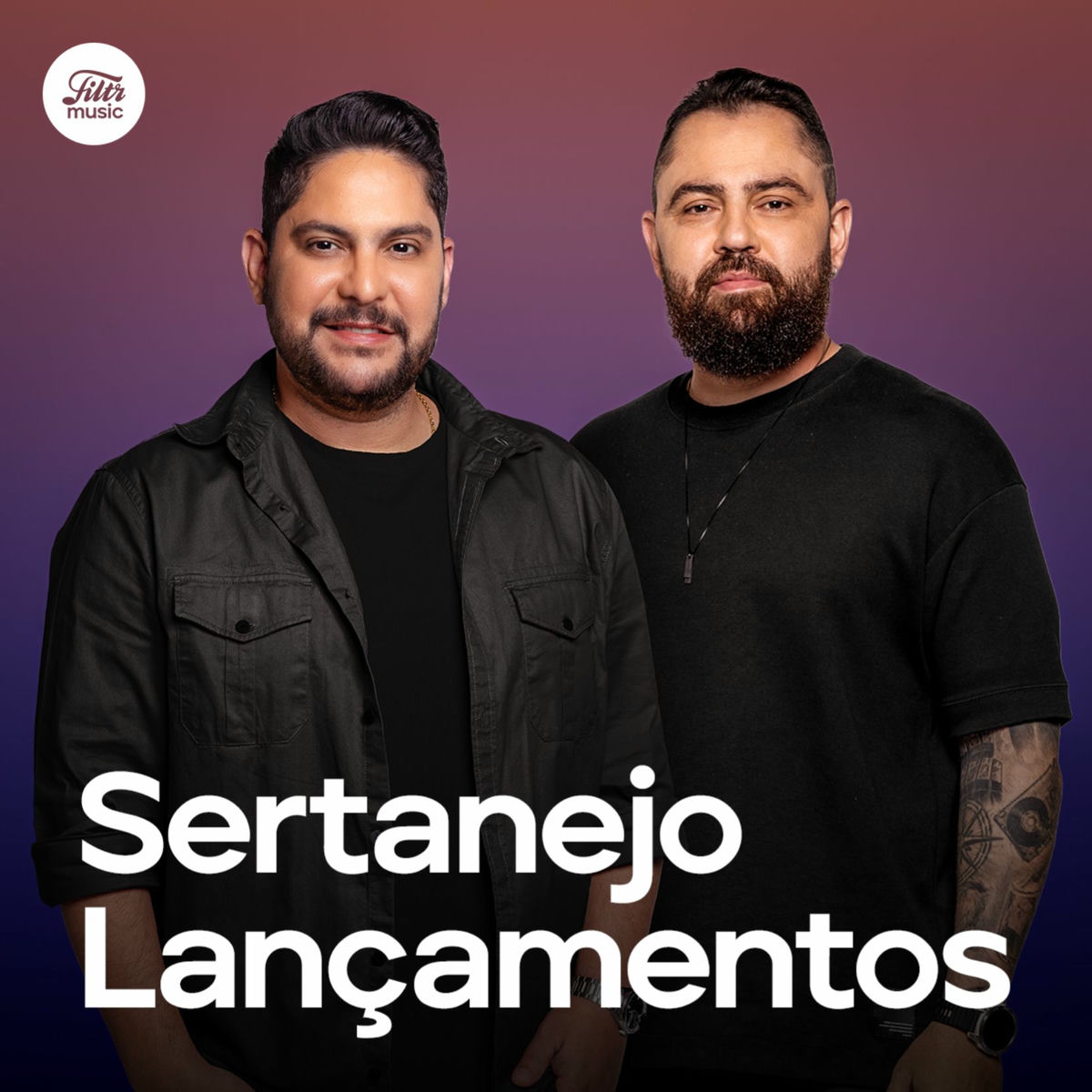 Cover of playlist Sertanejo Lançamentos 2025  🔥 Top Sertanejas 2025