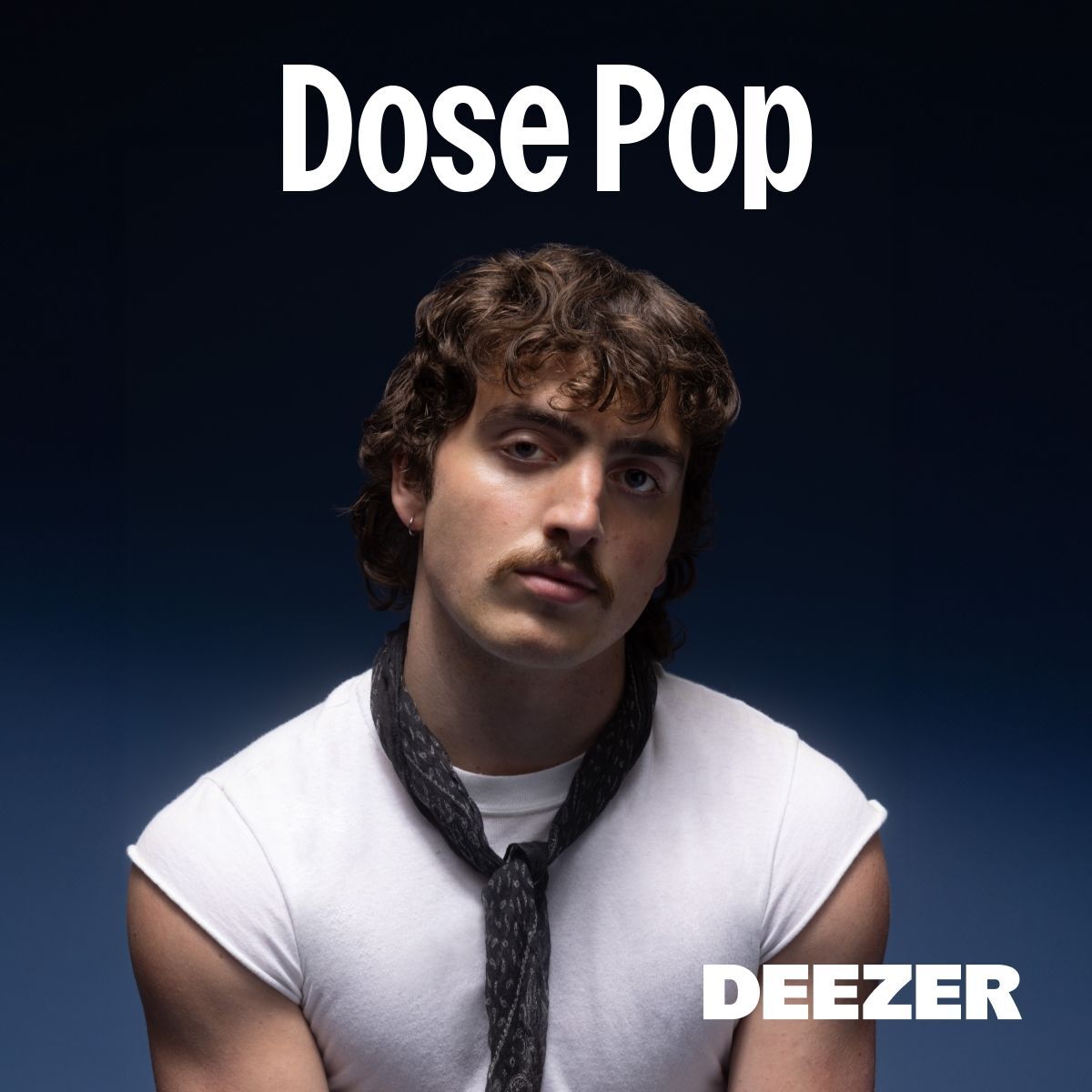 Cover of playlist Dose Pop