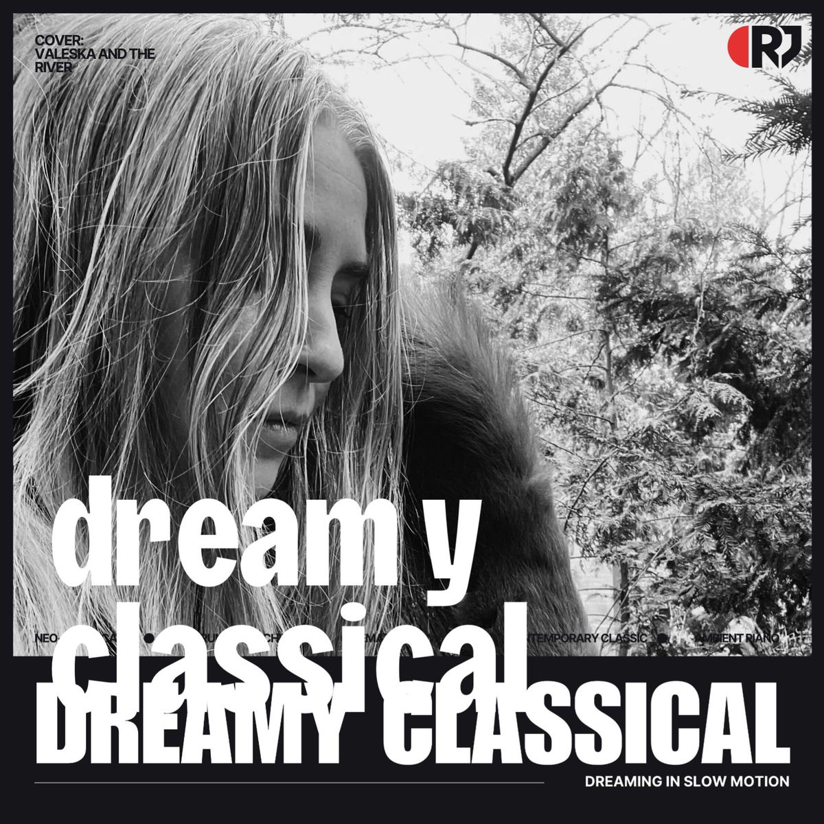 Cover of playlist dreamy classical