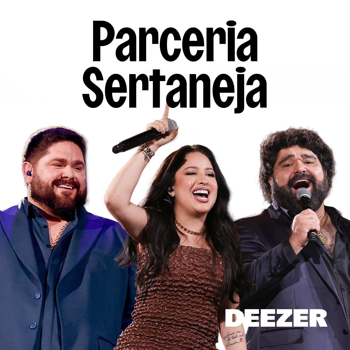 Cover of playlist Parceria Sertaneja