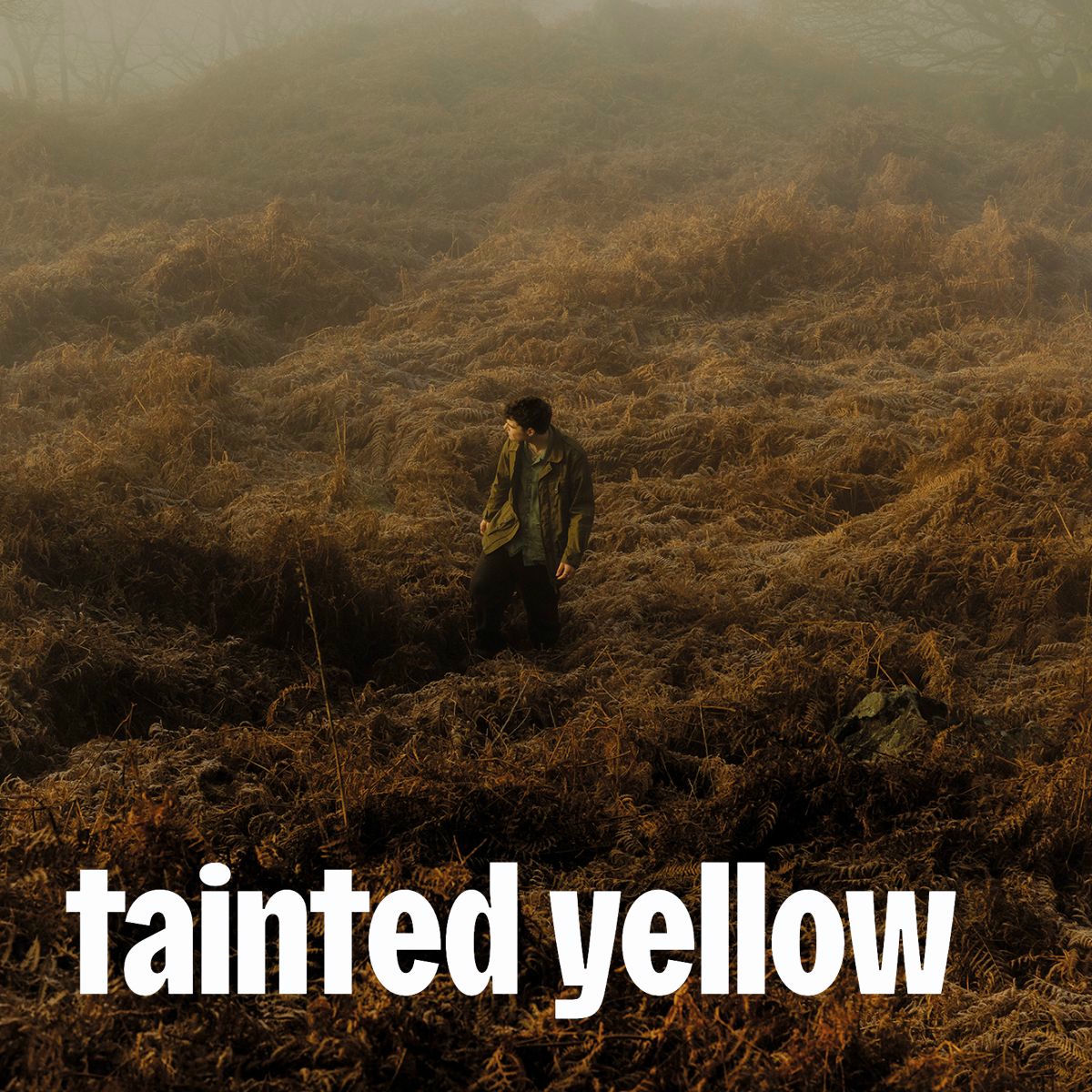 Cover of playlist tainted yellow