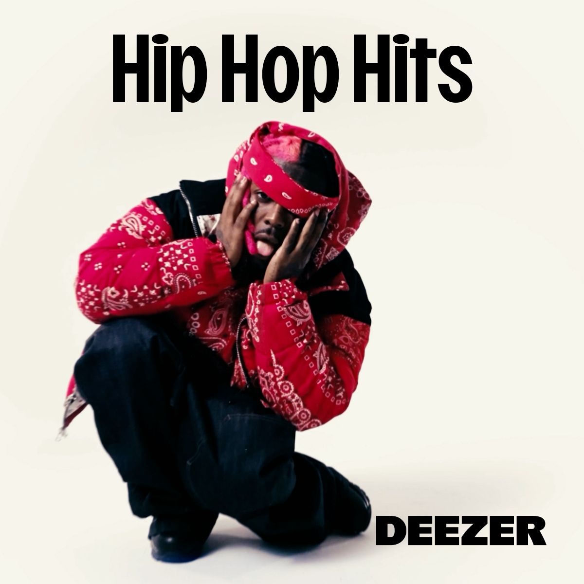 Cover of playlist Hip Hop Hits