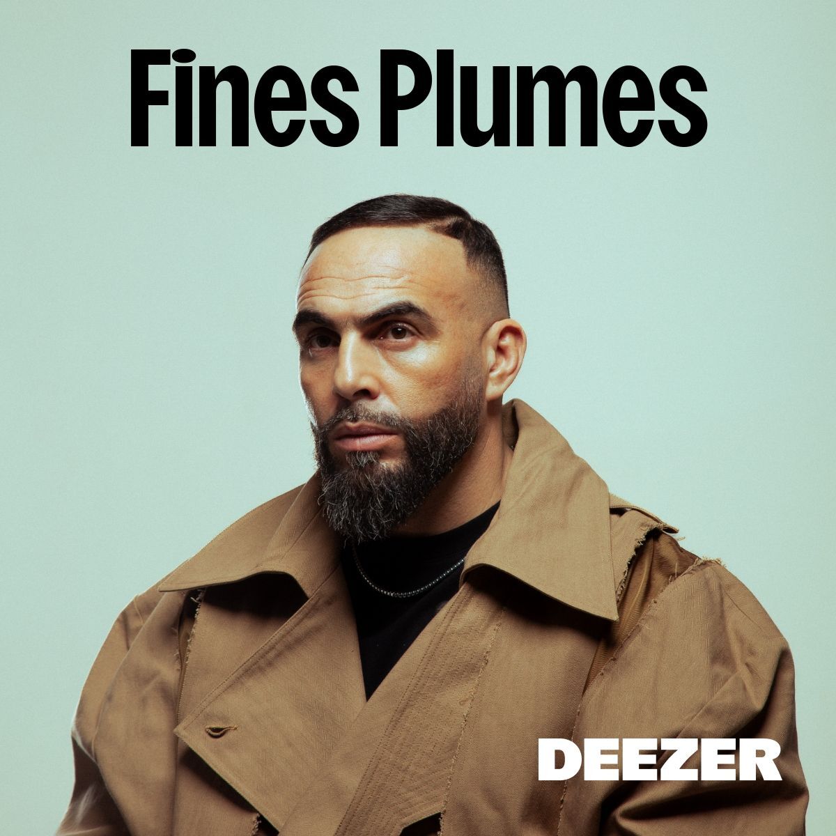 Cover of playlist Fines Plumes