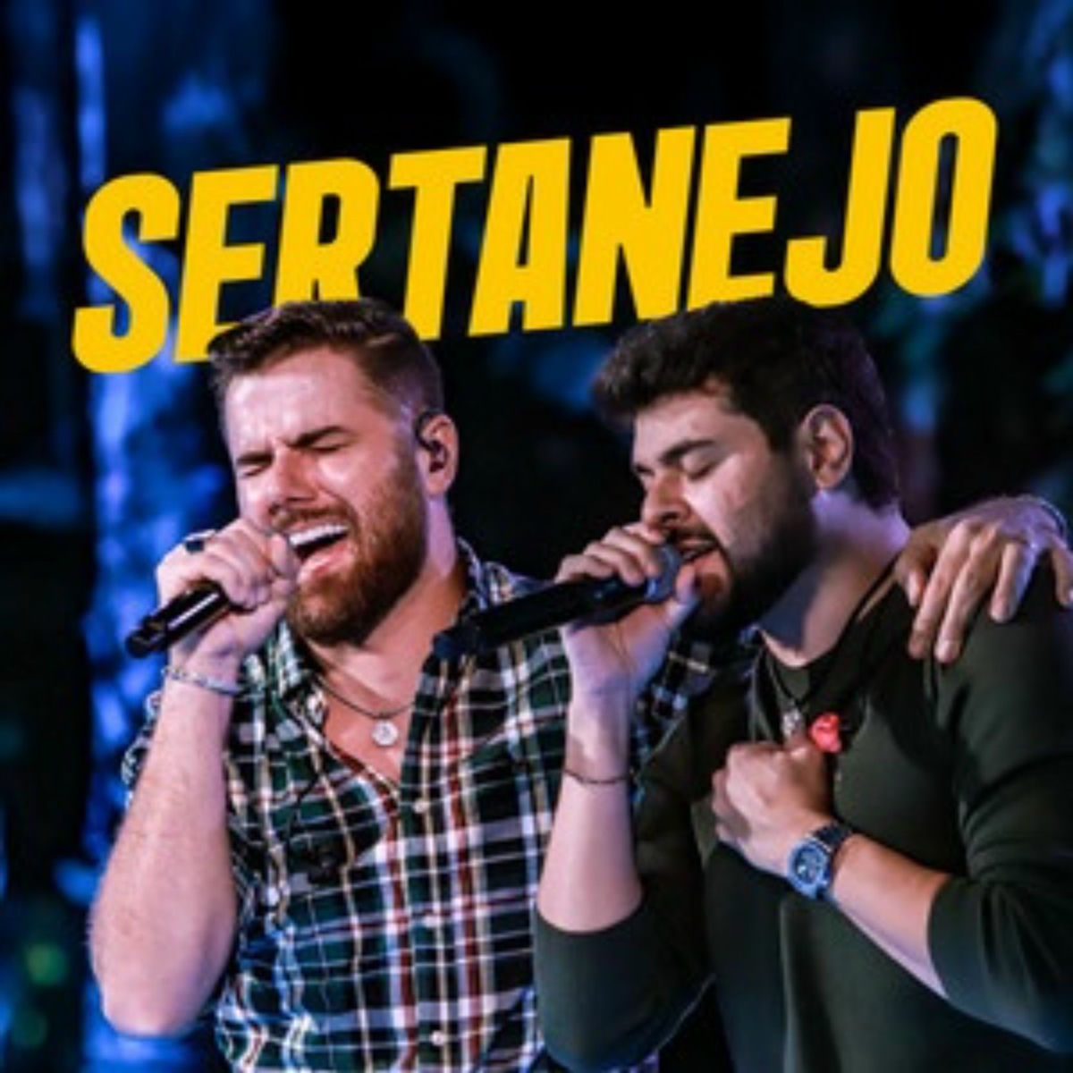 Cover of playlist Top Sertanejo 2025 ⭐ Hits Sertanejos!