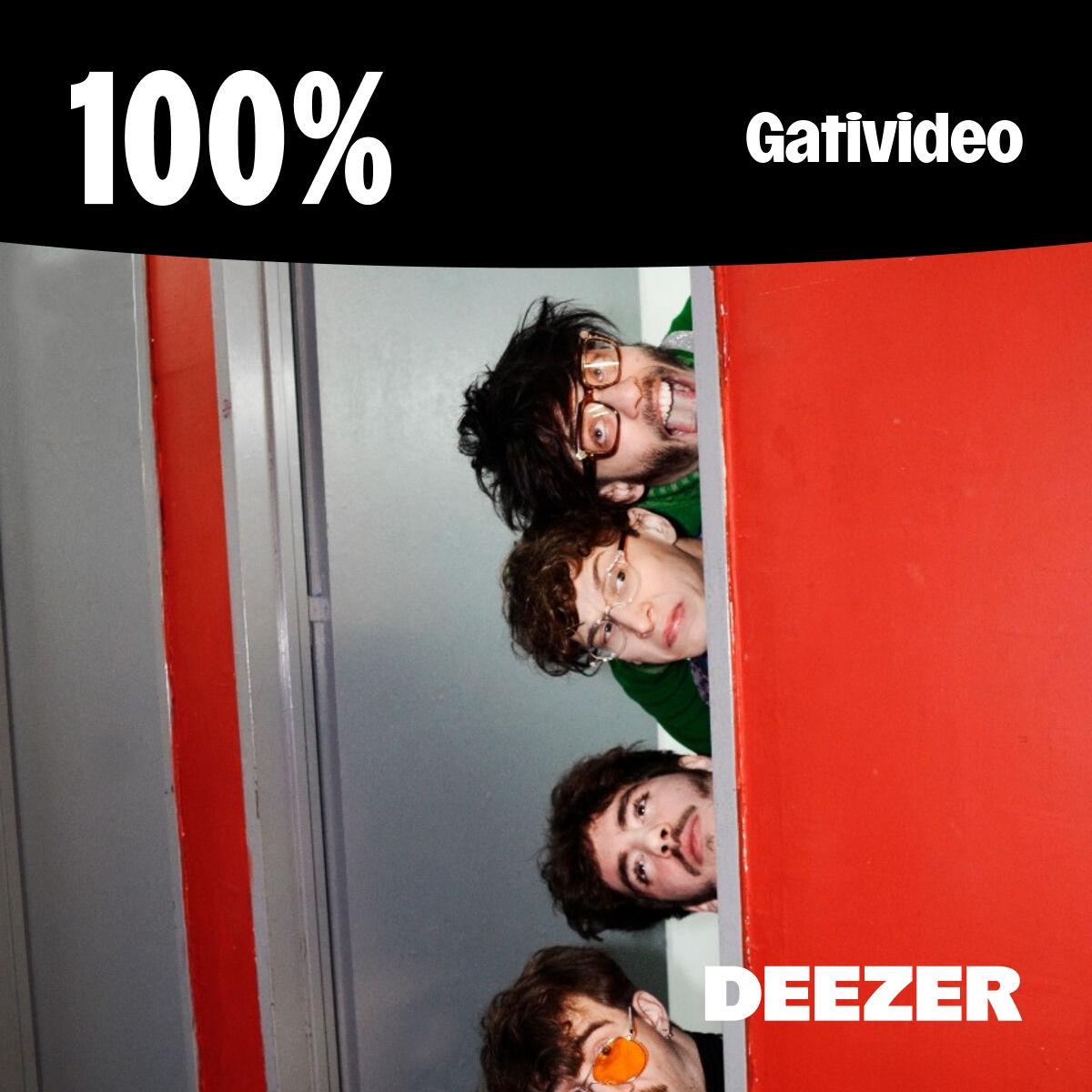 Cover of playlist 100% Gativideo
