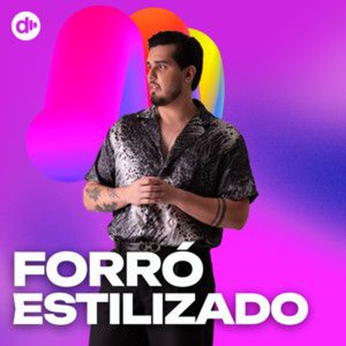 Cover of playlist Forró Estilizado