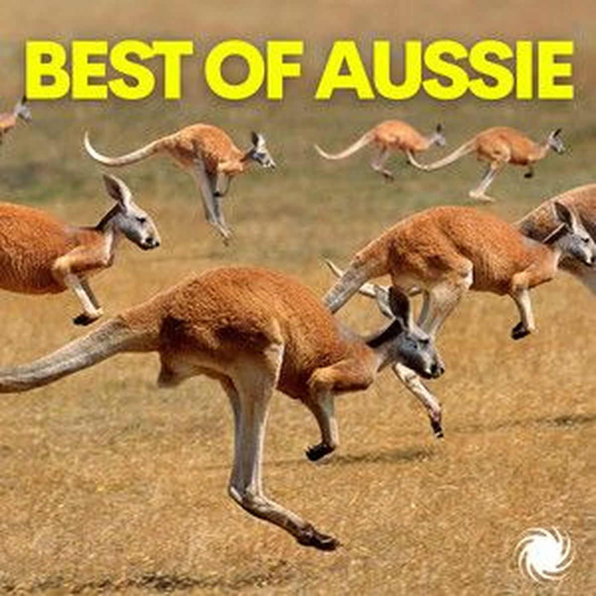 Cover of playlist Down Under: Australia & NZ Soundscape