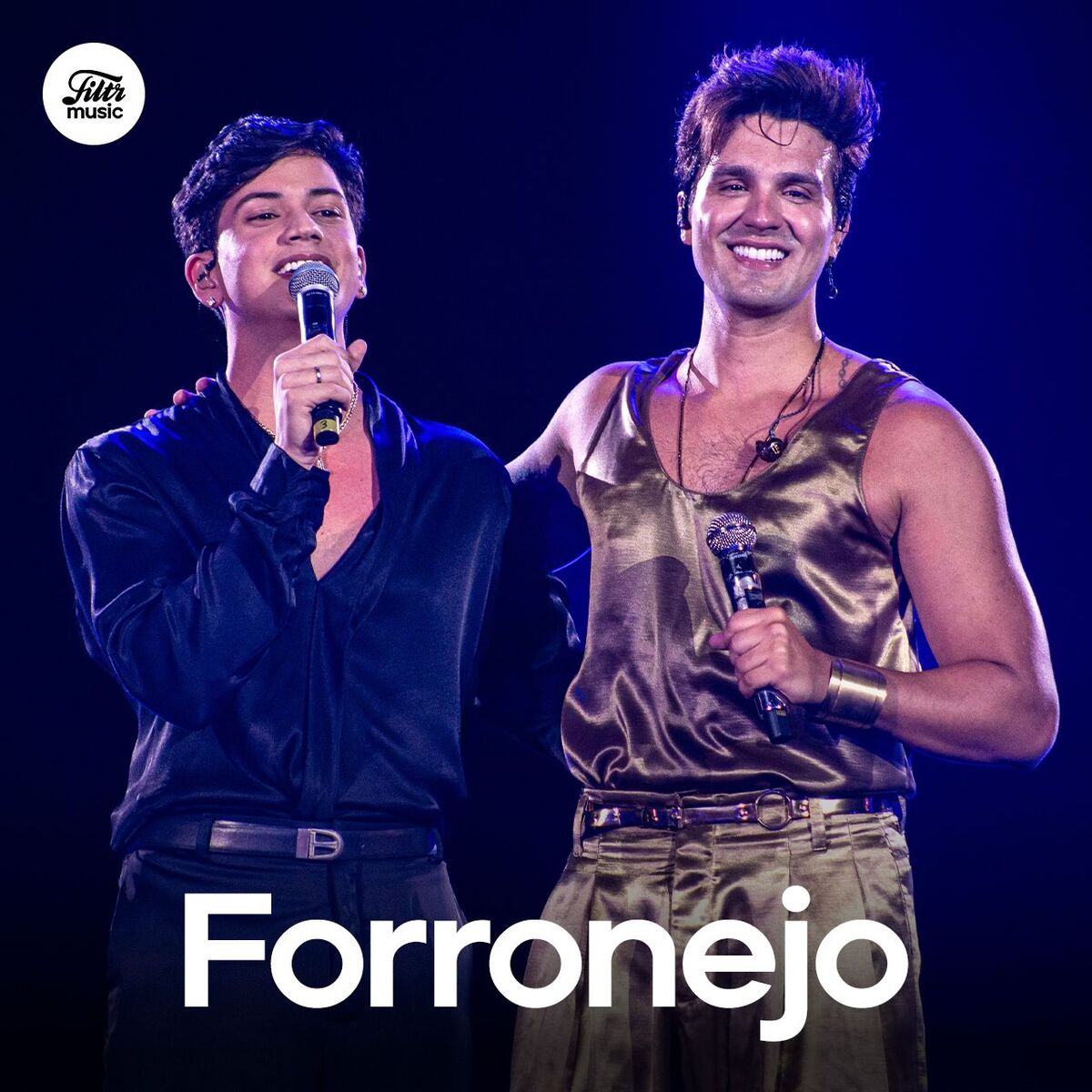 Cover of playlist Forronejo 2025 | Forró e Sertanejo 2025