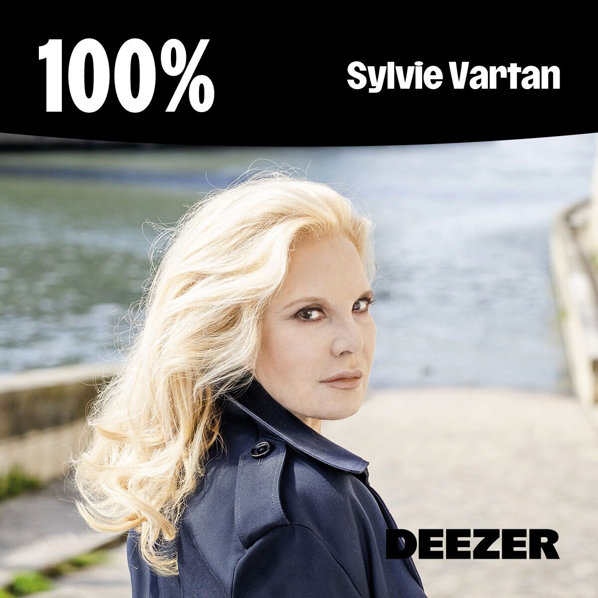 Cover of playlist 100% Sylvie Vartan