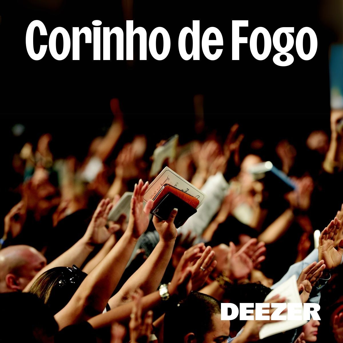 Cover of playlist Corinho de Fogo
