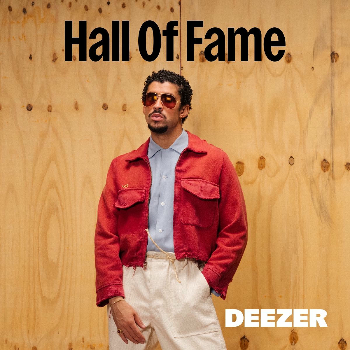 Cover of playlist Super Bowl Halftime Show Hall Of Fame
