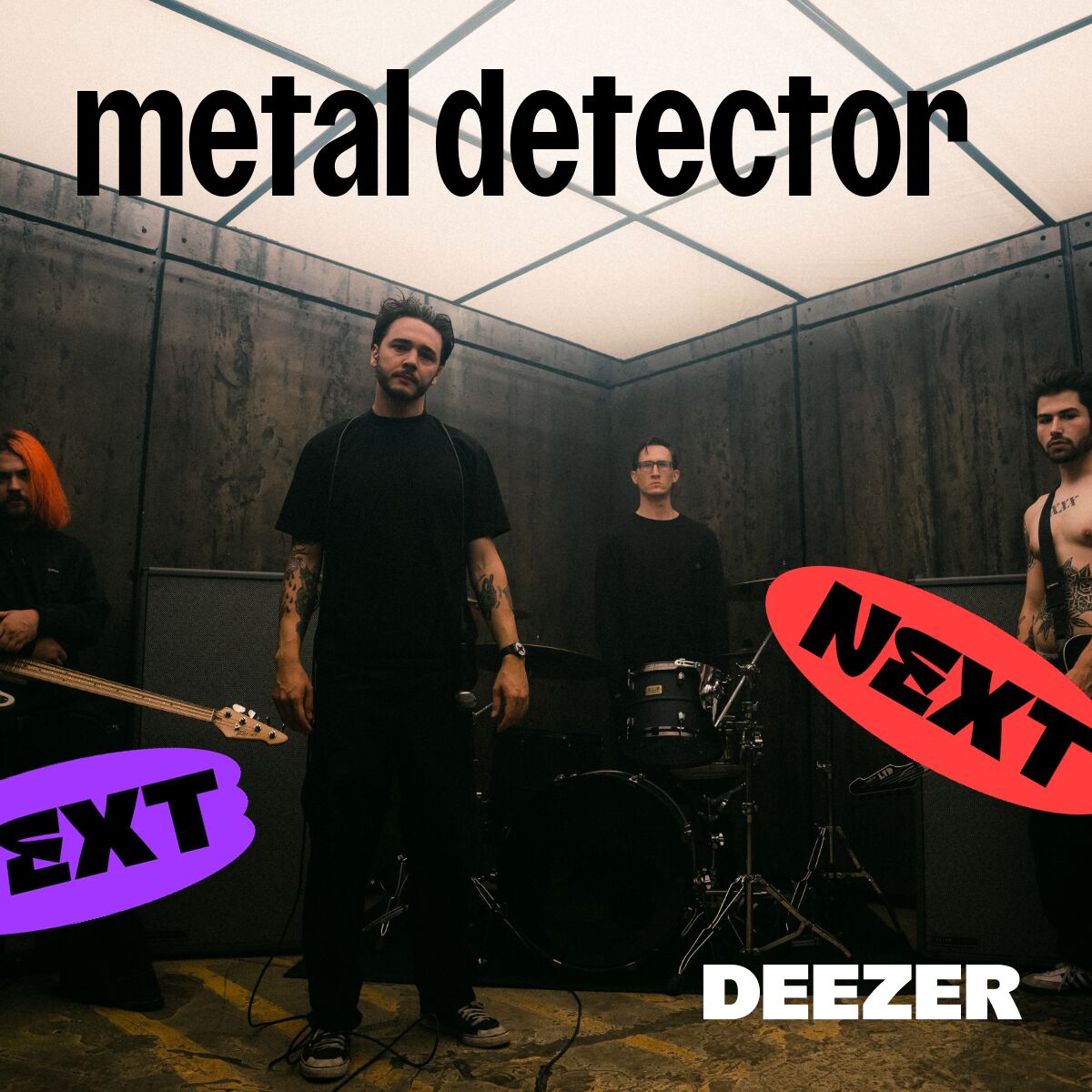 metal detector