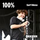 100% Surf Mesa