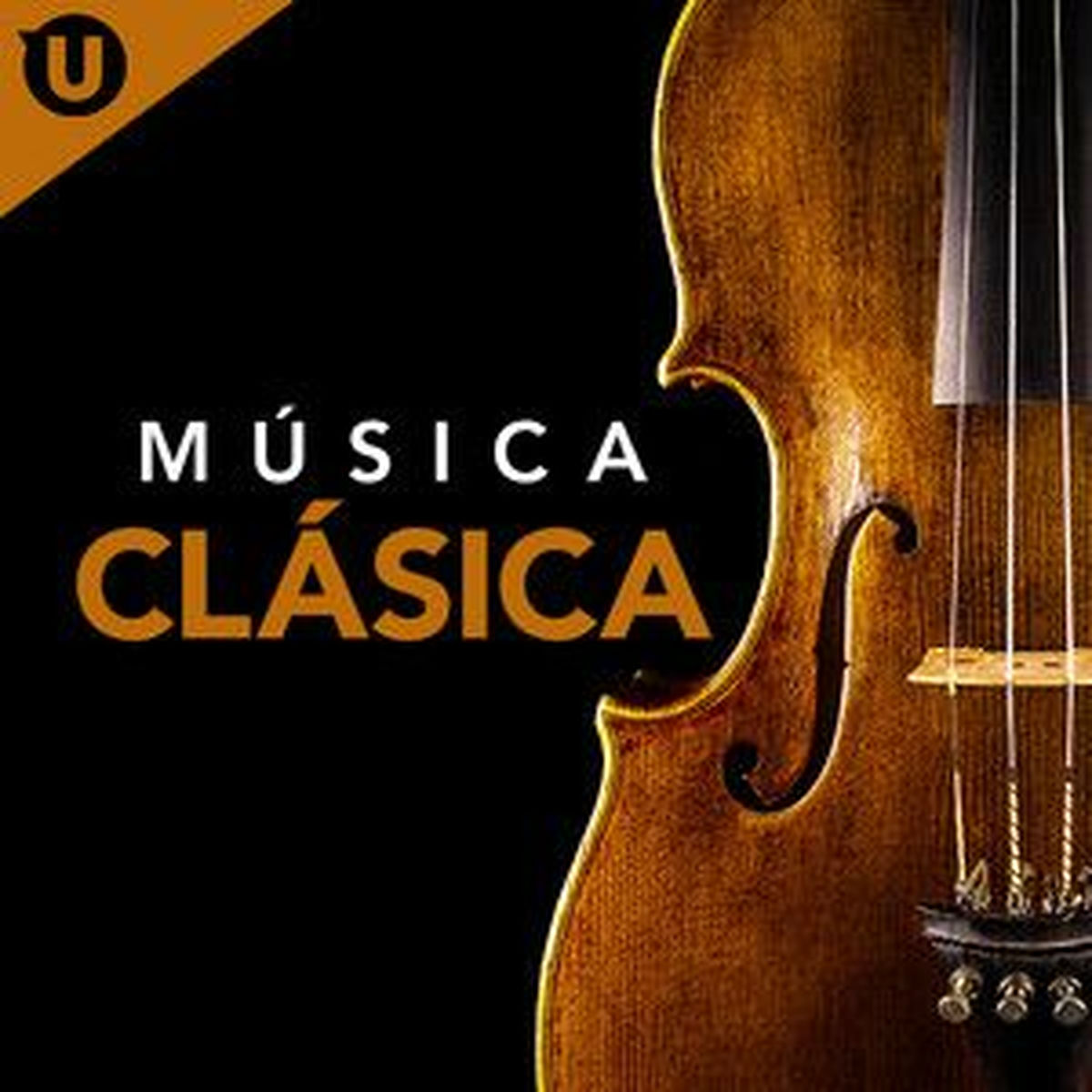 Cover of playlist Música Clásica