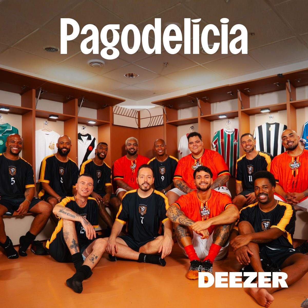 Cover of playlist Pagodelícia