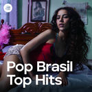 Pop Brasil Top Hits 2025 ✨
