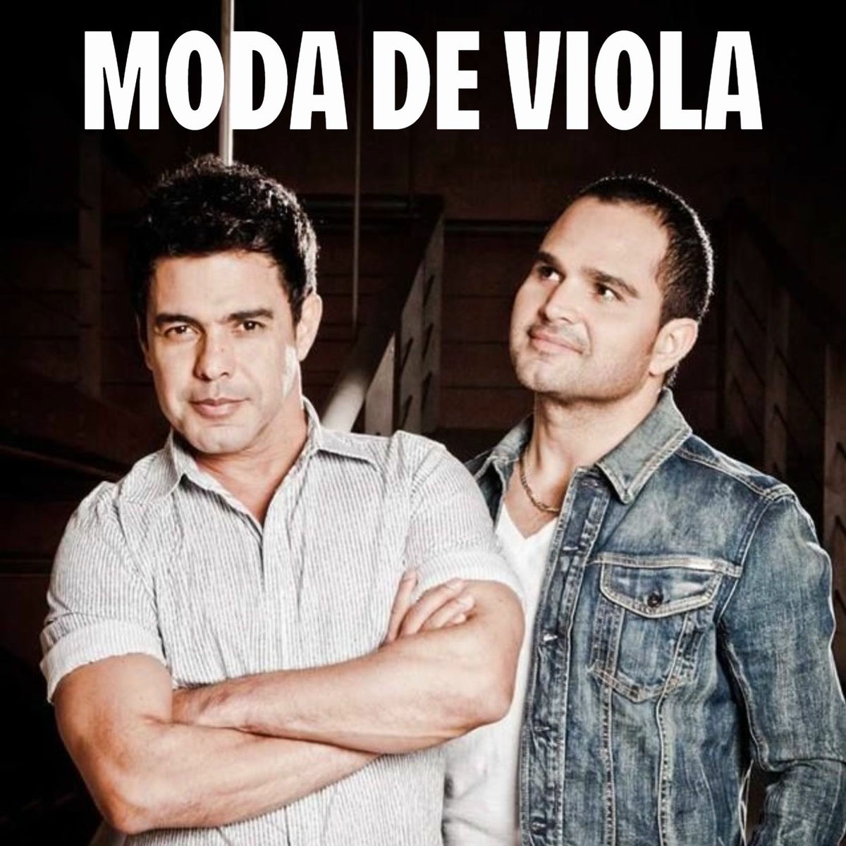 Cover of playlist MODA DE VIOLA, CHURRASCO E PINGA 🥩🍻 As Melhores