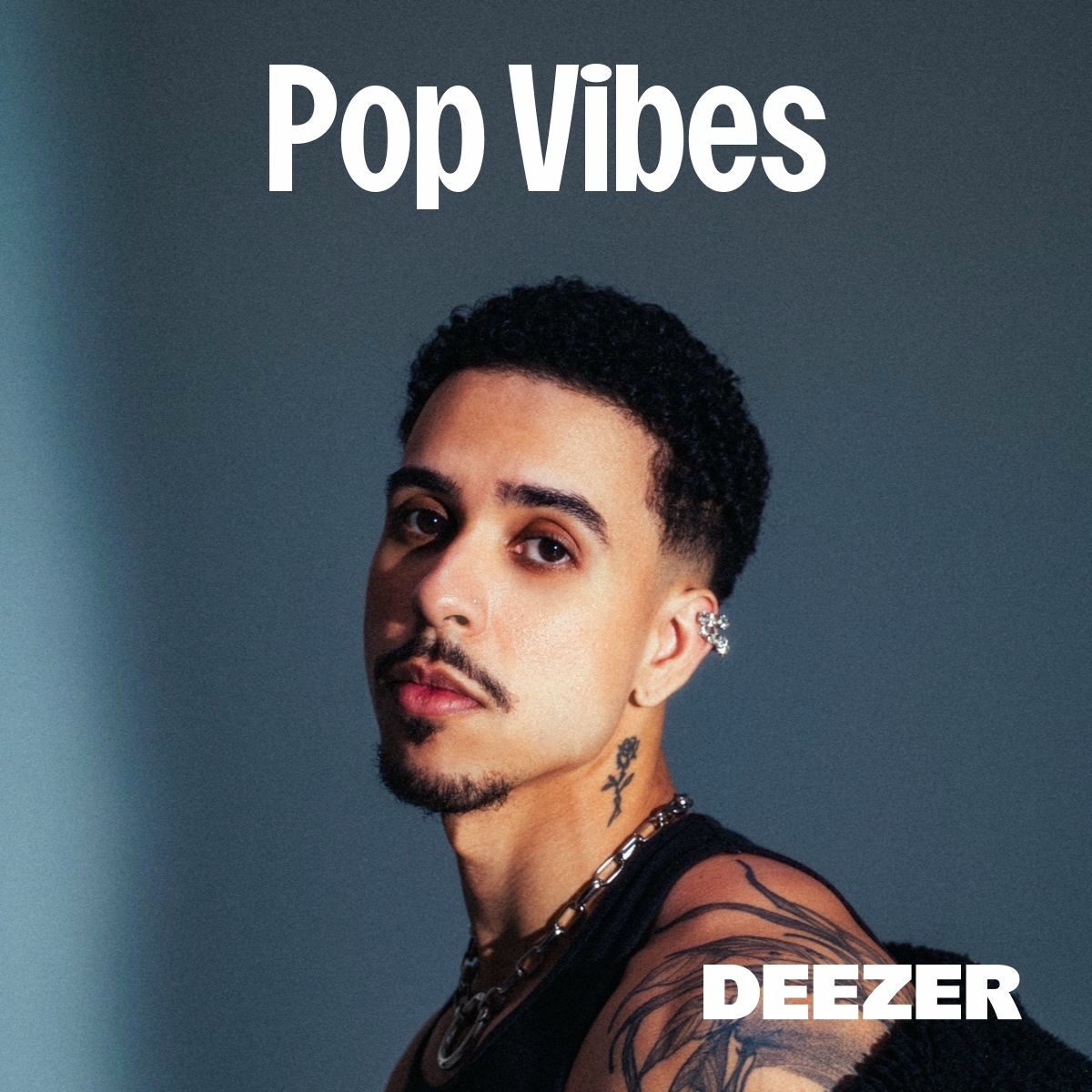 Cover of playlist Pop Vibes