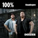 100% Haudegen