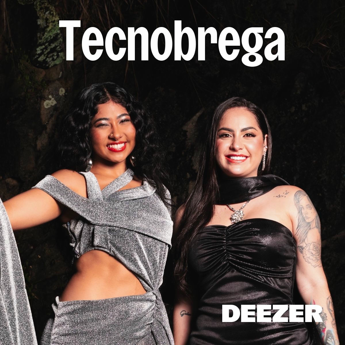 Cover of playlist Tecnobrega