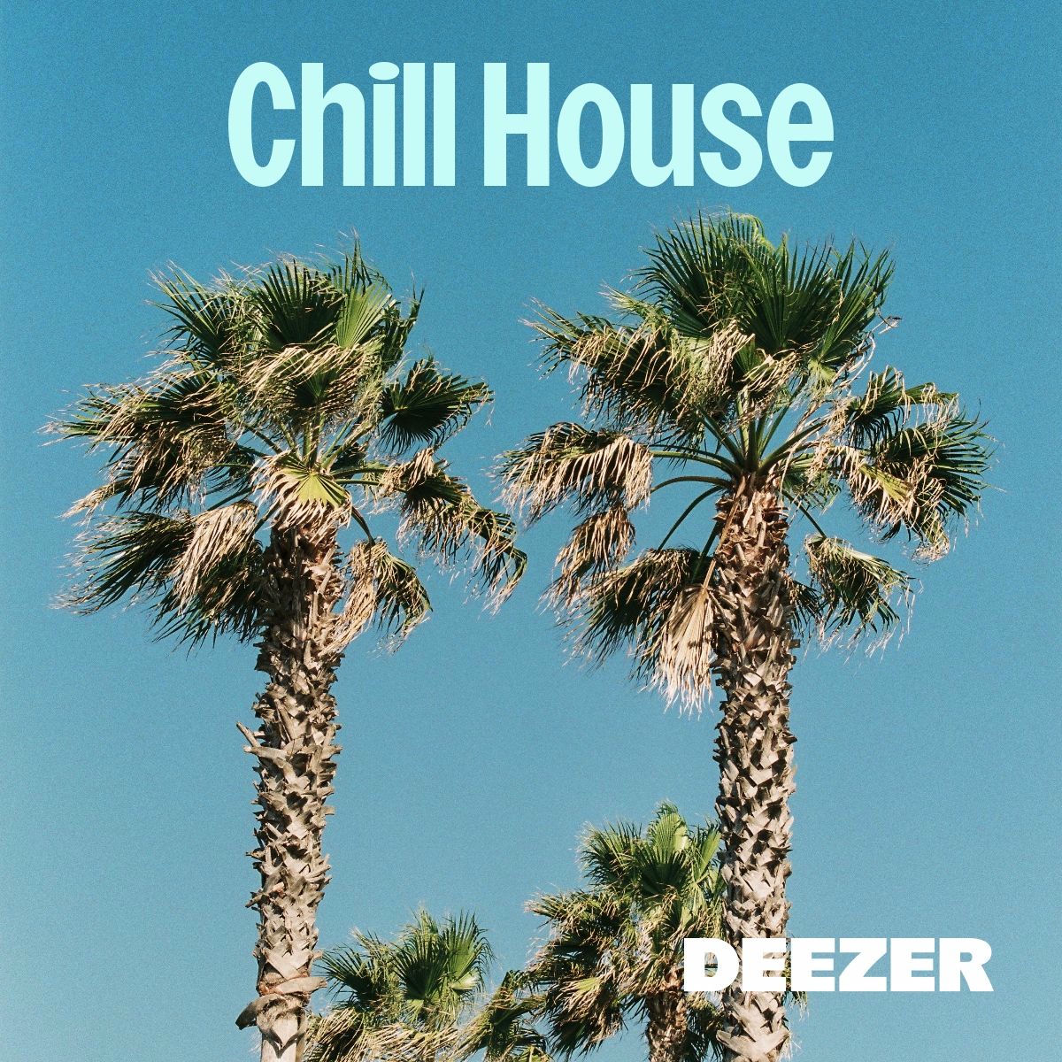 Chill House