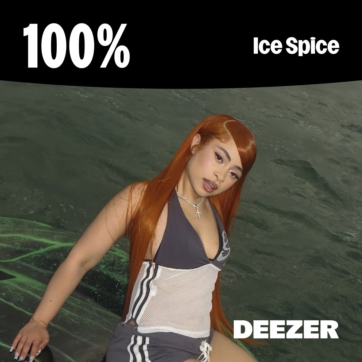Cover of playlist 100% Ice Spice