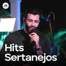 Hits Sertanejos 2025 | Sertanejo Mais Tocadas 2025