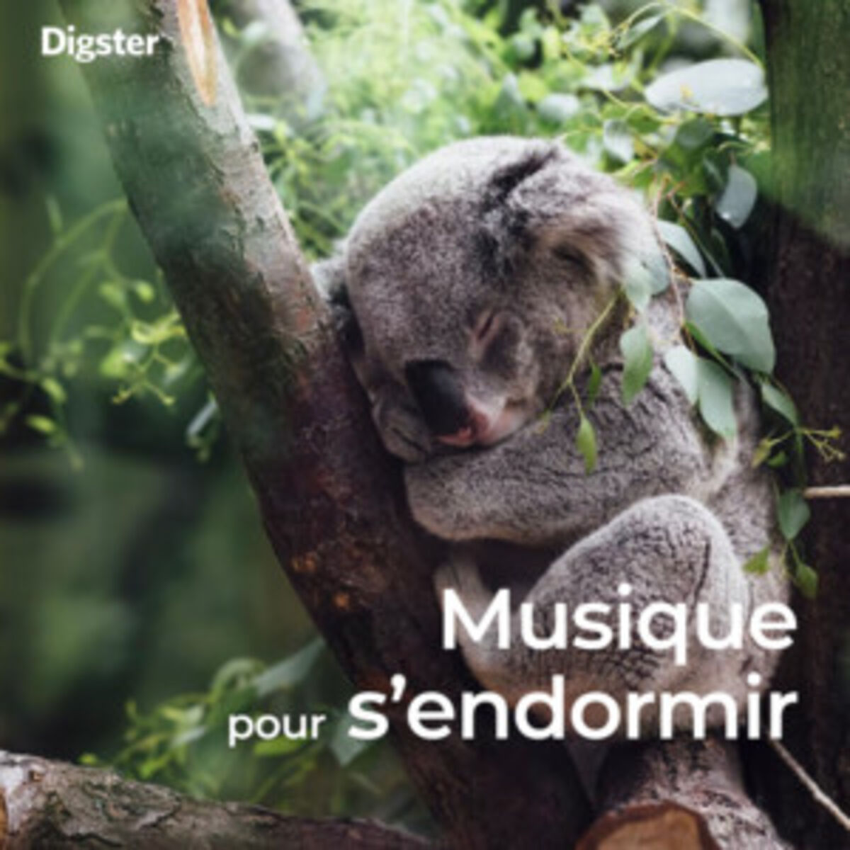 Cover of playlist Musique pour s’endormir : dormir en musique, somme