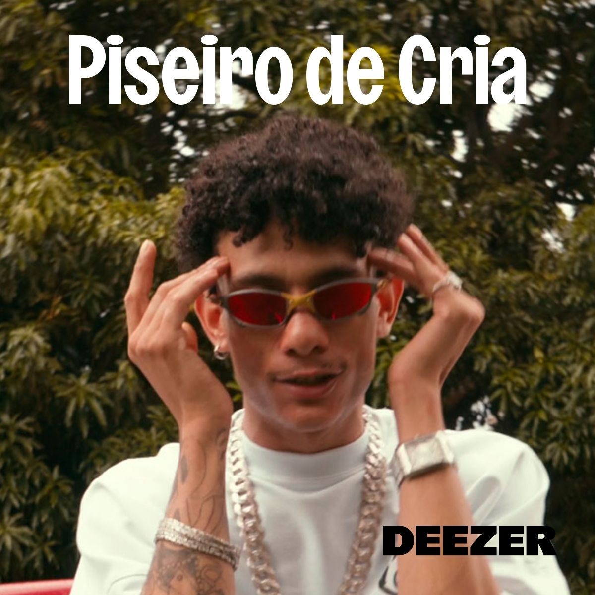 Cover of playlist Piseiro de Cria