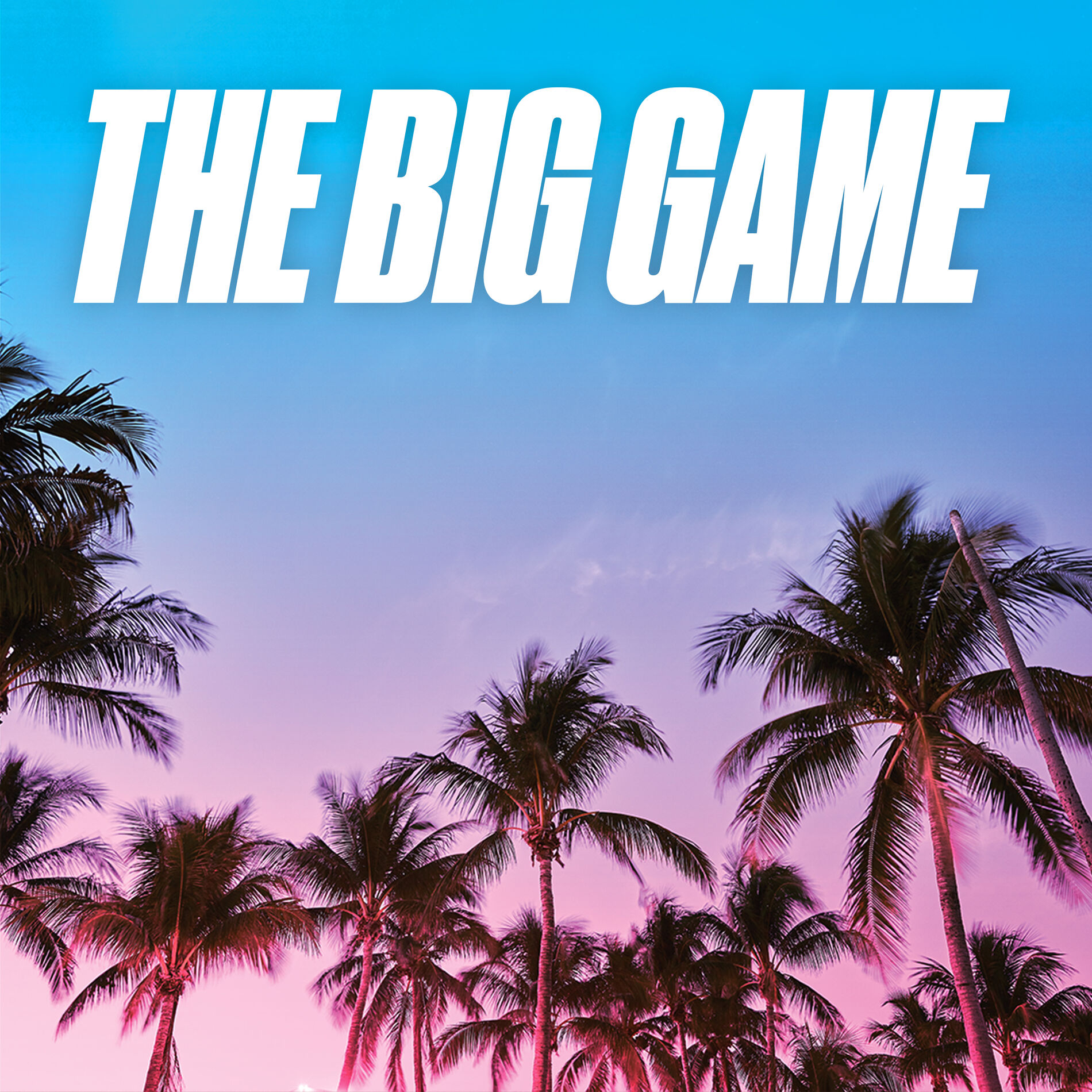Cover of playlist The Big Game
