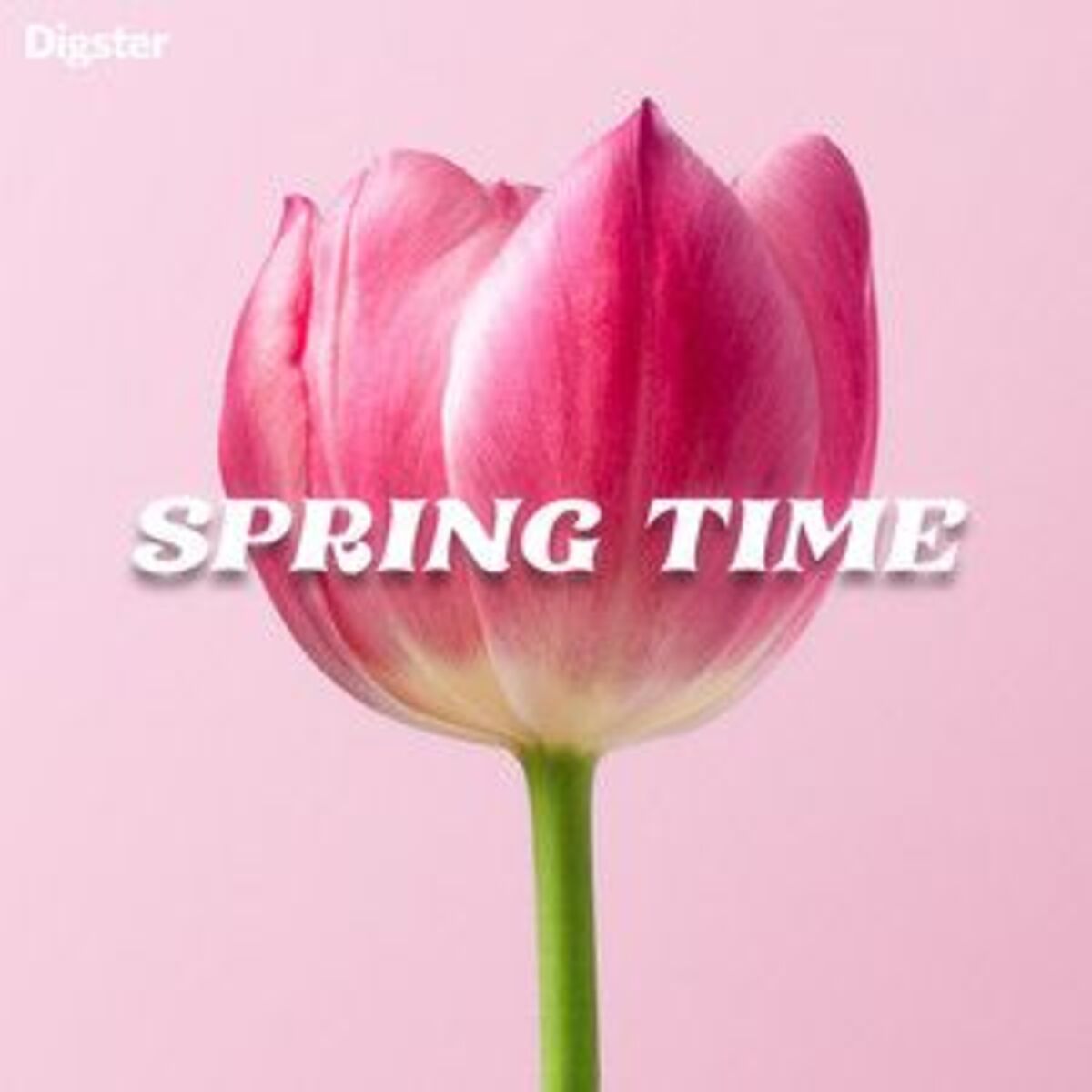 Cover of playlist SPRING TIME 🌷🩷