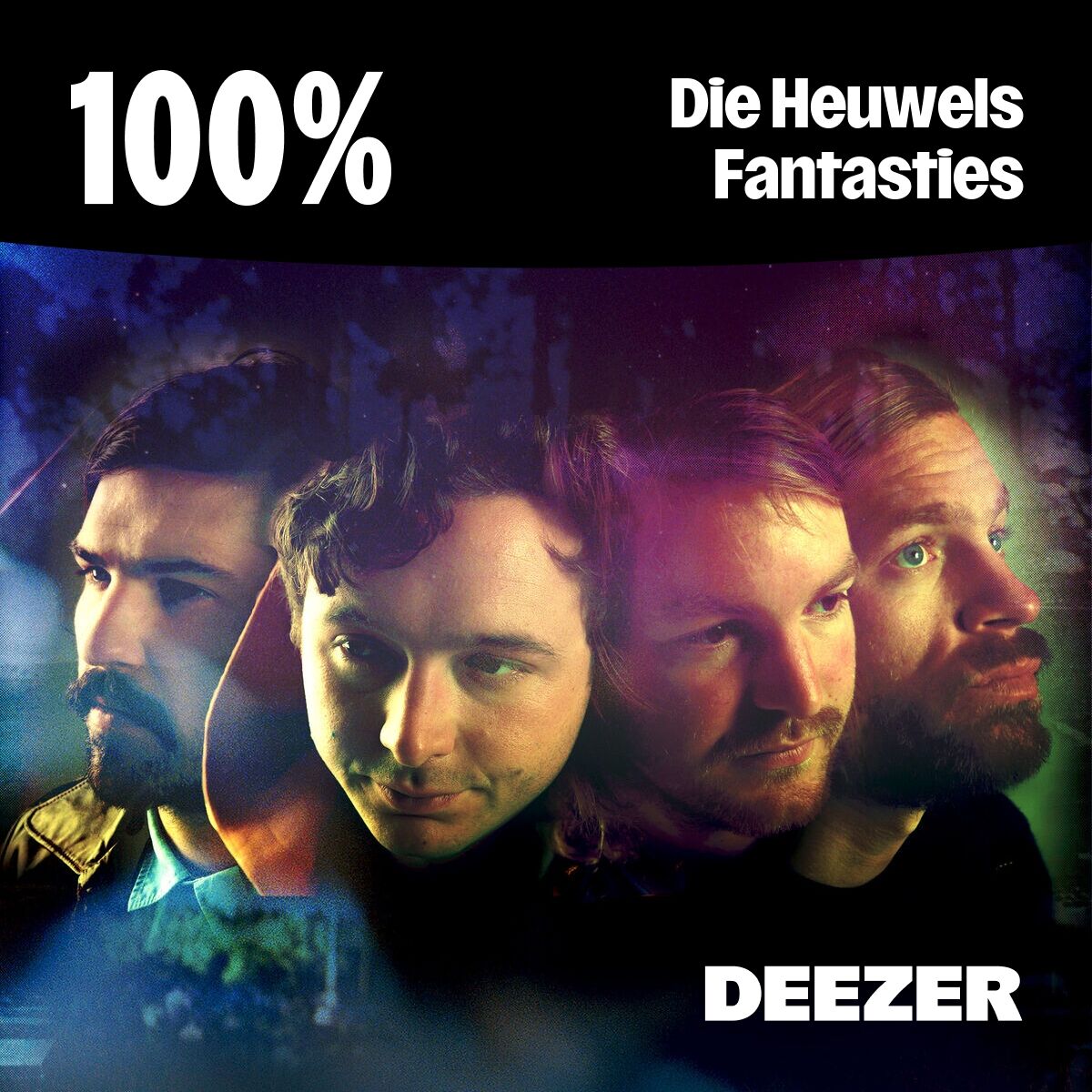 Cover of playlist 100% Die Heuwels Fantasties