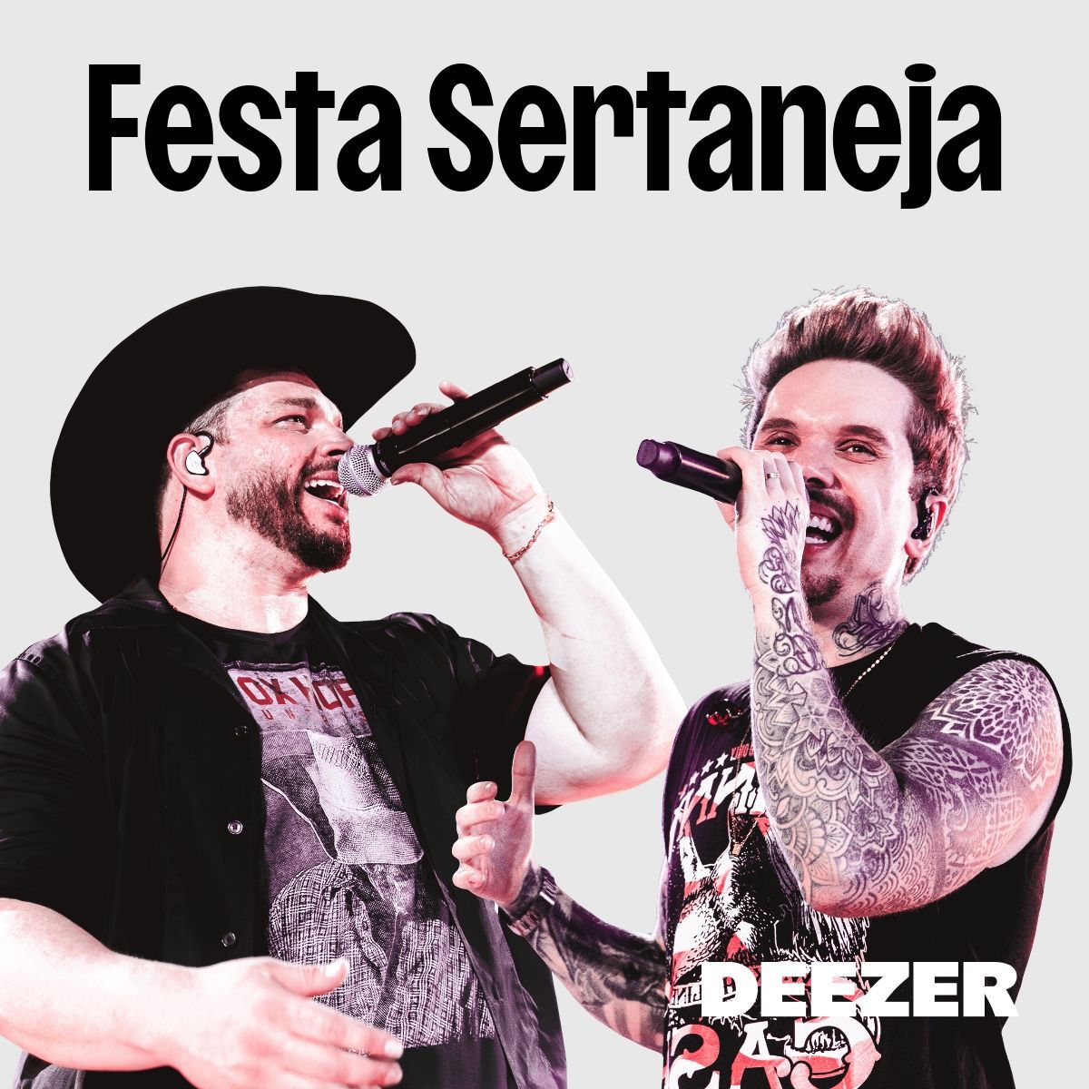 Festa Sertaneja