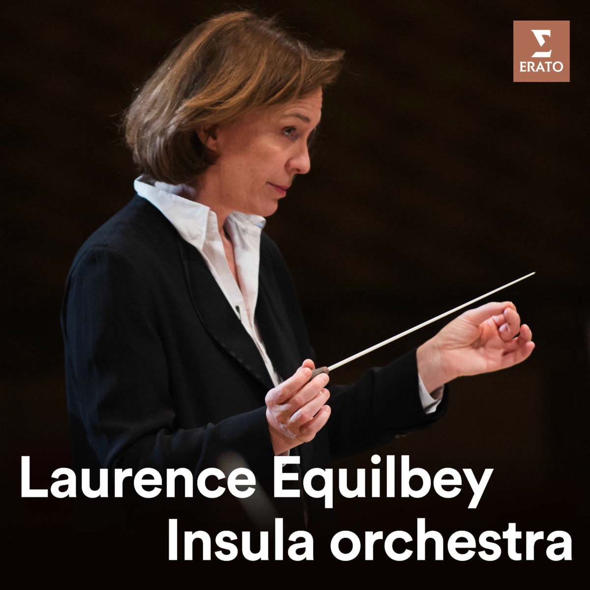 Cover of playlist Laurence Equilbey - Insula orchestra