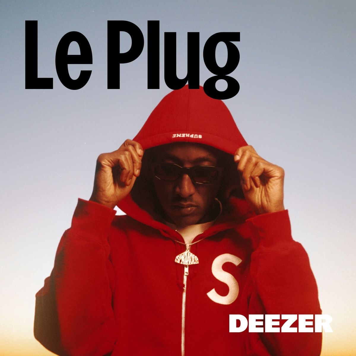 Cover of playlist Le Plug