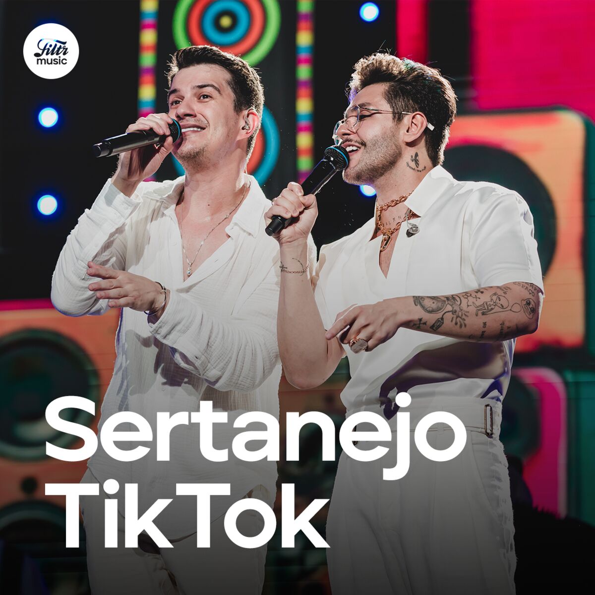 Cover of playlist Sertanejo TikTok 2025 🔥 Atualizado!