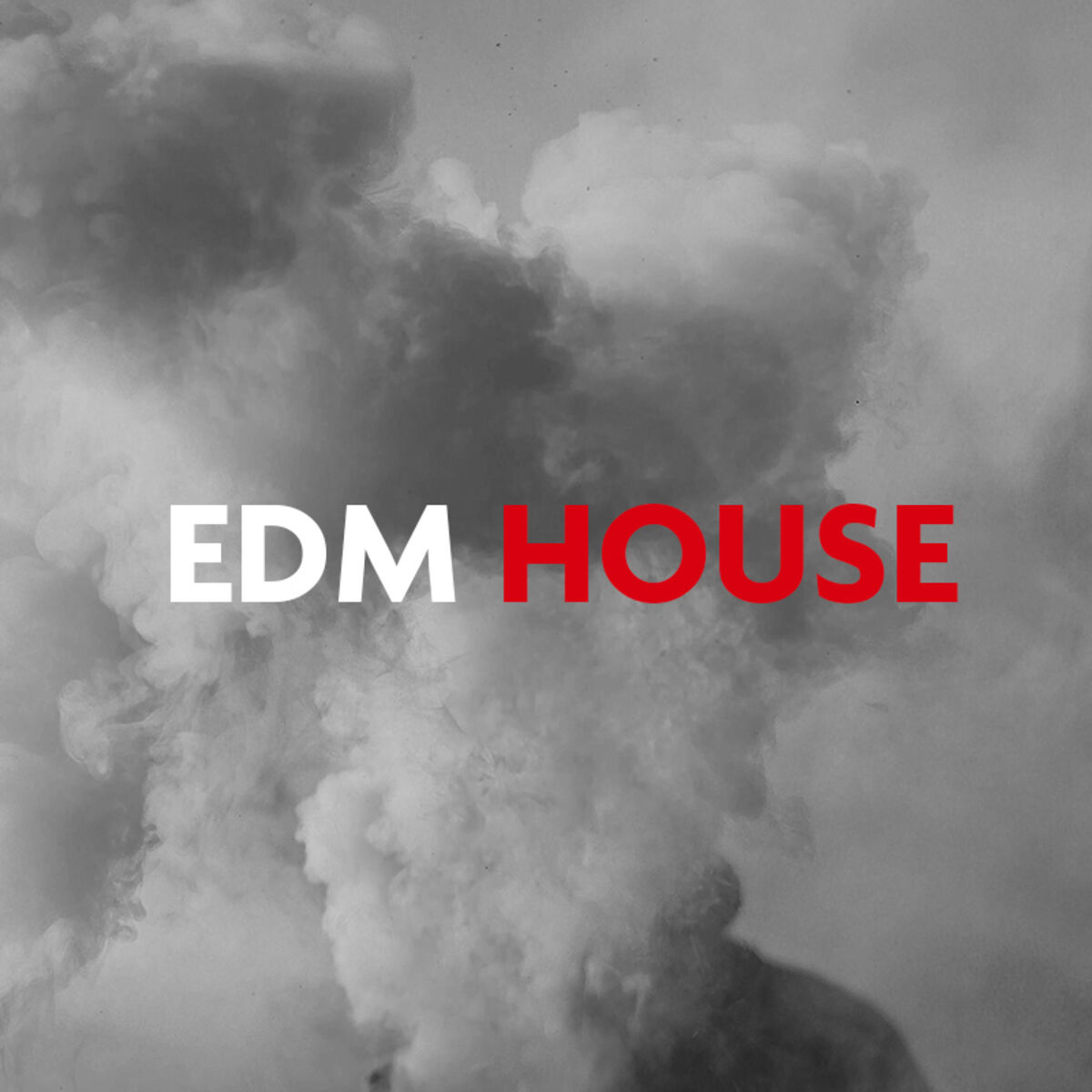 Cover of playlist EDM House 2020