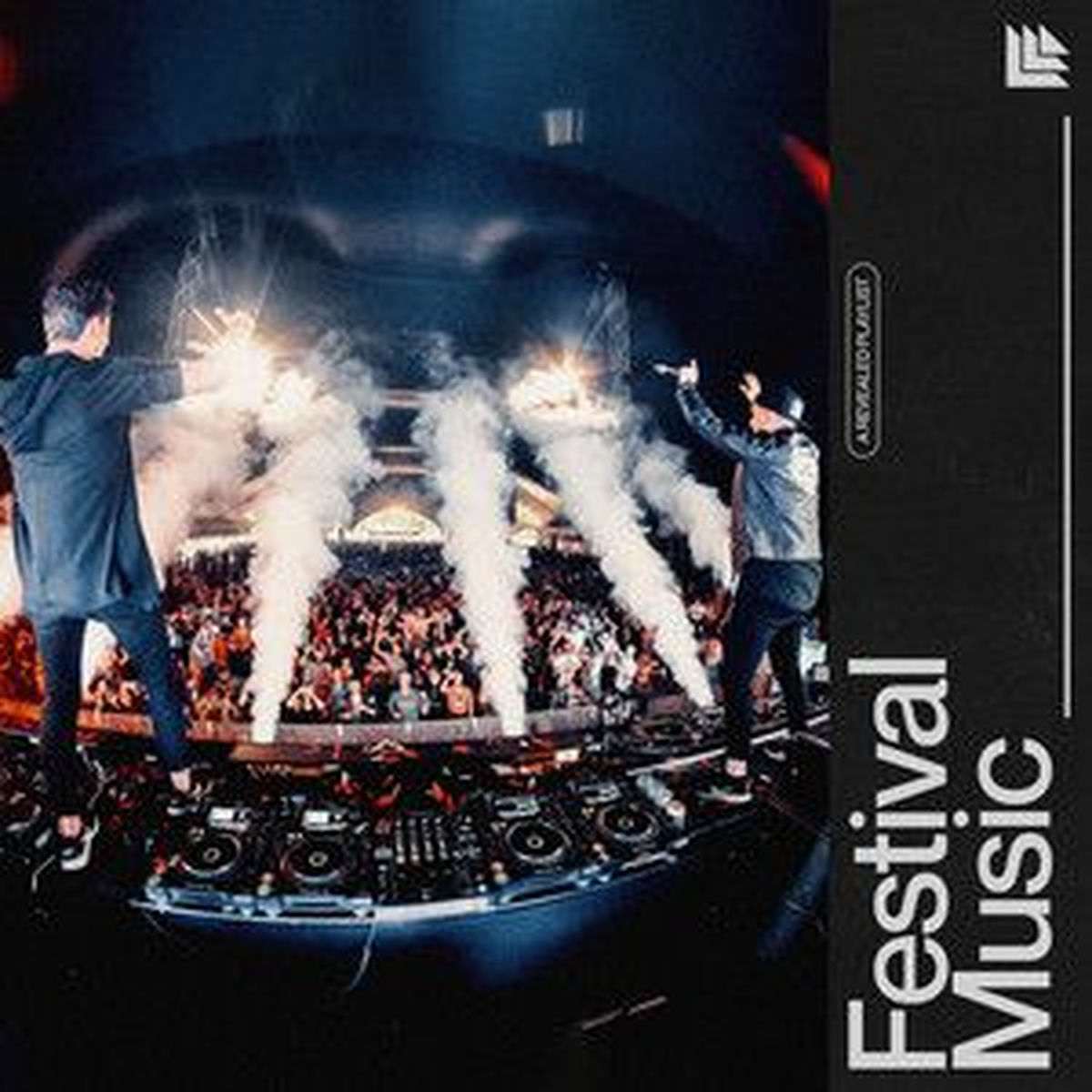 Cover of playlist Festival Songs 🎇 Festival Music