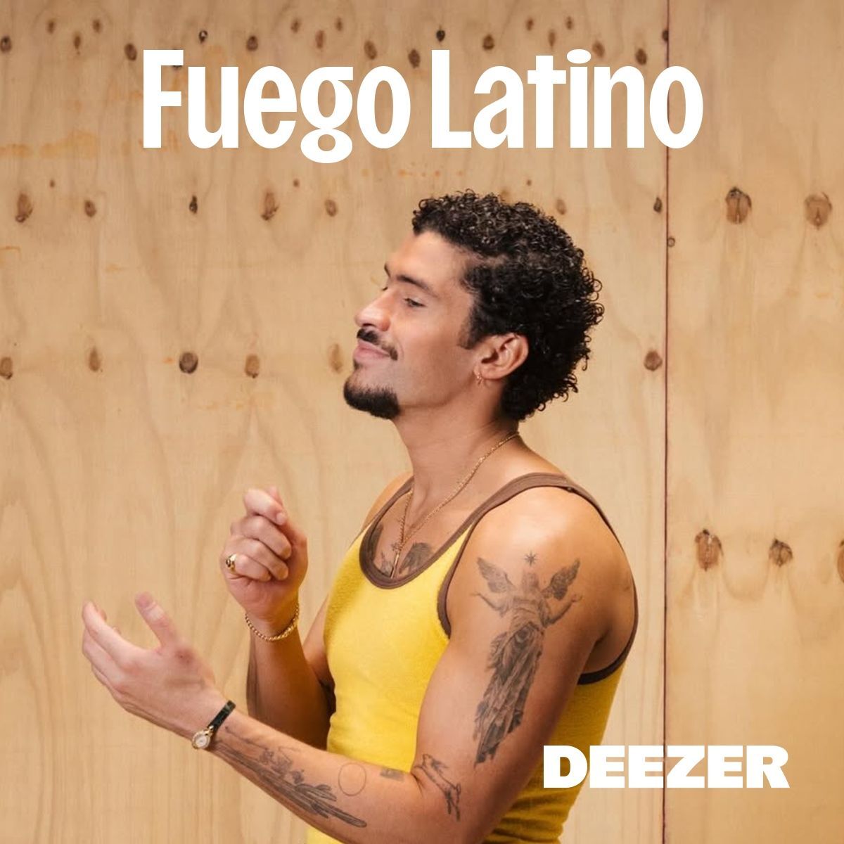 Cover of playlist Fuego Latino